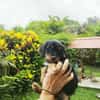 Ataya, un bout de chou d'amour