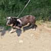 Liska einfach nur lieb