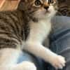 Darcy sucht ein liebevolles Zuhause