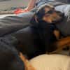Zuckersüße 🐾💕Sky🐾💕 sucht ihr Zuhause