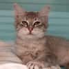 LILOU