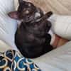 Lola