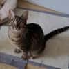 Lustige Roxy