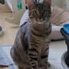 Lustige Roxy
