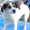 BESSIE sucht Zuhause