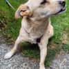 Kleine Liebe Tissa sucht ihre Familie