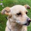 Kleine Liebe Tissa sucht ihre Familie