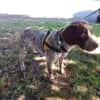 ATHOS