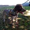 ATHOS