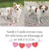 Candy e Sandy