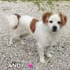 Candy e Sandy