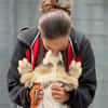 Loui ein Traum von Hund...