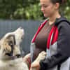 Loui ein Traum von Hund...