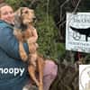 Rollt Snoopy ins Hundeglück?