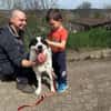 DRINGEND Platz für JACKSON gesucht 🆘‼