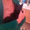 BAGHEERA**