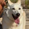 CLOE (Maria)