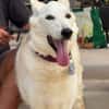 CLOE (Maria)