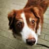 Lilly, traumhaft liebe Seniorin