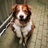 Lilly, traumhaft liebe Seniorin