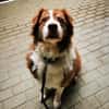 Lilly, traumhaft liebe Seniorin