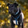 MACY -sucht erfahrene Menschen-