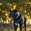 MACY -sucht erfahrene Menschen-