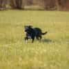 MACY -sucht erfahrene Menschen-
