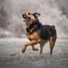 NORAH -arbeitswillig & menschenbezogen-