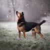 NORAH -arbeitswillig & menschenbezogen-
