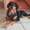 Marlowe, su. erfahrene Besitzer VIDEO