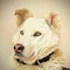 AMBERBLUE -freundlich & unkompliziert-