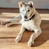 AMBERBLUE -freundlich & unkompliziert-