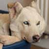 AMBERBLUE -freundlich & unkompliziert-