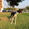ENZO (Martina)