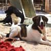 Jasmine - Lady mit toller Ausstrahlung