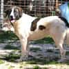 Jasmine - Lady mit toller Ausstrahlung