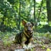 junge, smart Frida sucht ihre Familie