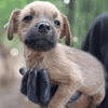 Teeny