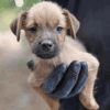 Teeny