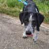 Liebe Paula, sucht ihre Familie