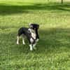 Blueberry sucht ihre Traumfrau