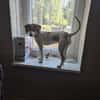 💕Cleo💕sucht ihre Menschen🐾💕🐾