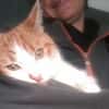 Artemis A13768