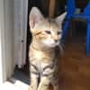 Arlo