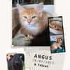 Angus