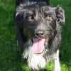 COOPER wartet schon lange