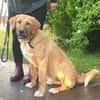 HSH-Mix-Lady♥Suvi♥63911 Klingenberg/Main