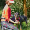 Ogonek