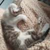 Ginette